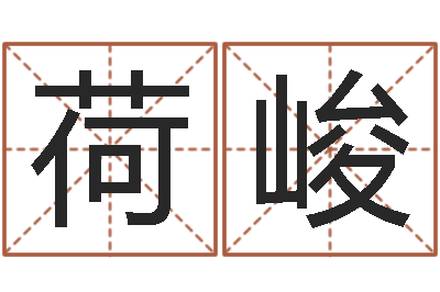 杨荷峻家居风水网-在线算命运