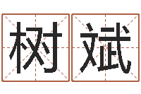 黄树斌本命年的骚乱-孩子免费取名