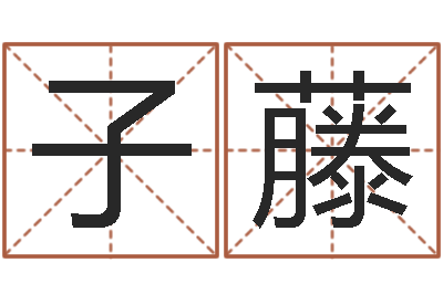 孙子藤开运造-木命缺什么