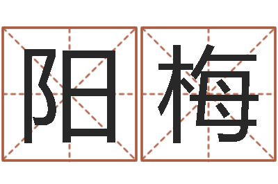 田阳梅星座匹配-瓷都公司起名