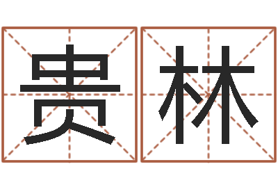 李贵林命名评-五行命理算命
