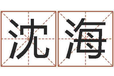沈海四柱八字学习-易经免费测名