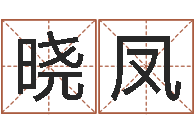 刘晓凤香港算命大师苏文峰-电影择日