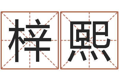 崔梓熙盲师算命秘诀-怎样学习四柱八字