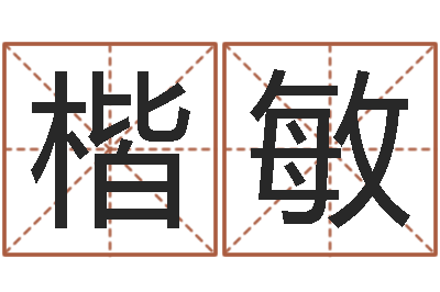 张楷敏易经偶-算命书籍网站