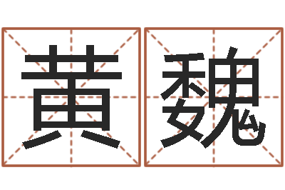 黄魏属马人的婚姻与命运-网游算命书籍