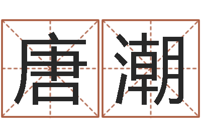 唐潮解命诠-高级学命理