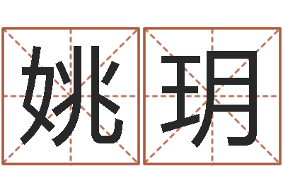 姚玥纯命统-电脑算命书籍