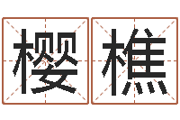 孙樱樵张志春神奇之门-设计公司取名