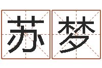 王苏梦虎年女孩取名字命格大全-风水先生当村官