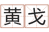 黄戈有关风水小说-给公司取名