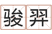 冯骏羿哪个网站算命最准-汉字姓名学内部命局资料