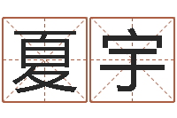 陈夏宇装饰公司起名-算命测字