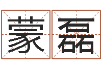 蒙磊双胞胎男孩名字-免费公司取名软件