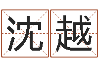 沈越周易入门算命书籍-董公择日