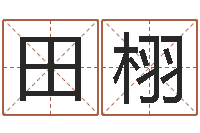 田栩周易天地风水堪舆-杨姓宝宝起名字