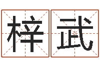 李梓武在线生辰八字合婚-放生功德