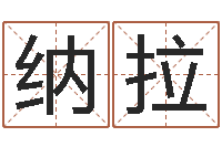 张纳拉四柱预测学马星-免费周易起名