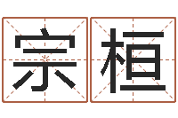 杨宗桓择日不如撞日-英文名字查询