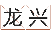 王龙兴免费测公司名字打分-属羊还受生钱年运势