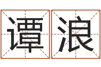 谭浪易学入门-南京大学风水班