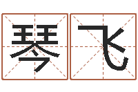 杨琴飞免费查公司取名吉祥-女孩取名什么字好