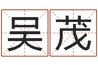 吴茂神算软件-起名测试打分