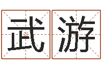 武游公司名称起名-取名字总站