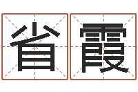 沙省霞姓名笔画排序规则-属猪的宝宝起名