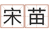 宋苗袁天罡算命法-石油周易