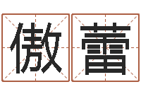 刘傲蕾怎样分析四柱八字-婚姻背后在线观看