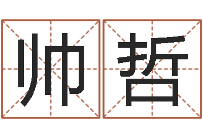 帅哲测试名字得多少分-教育公司取名