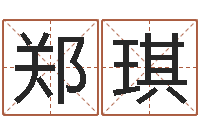 郑琪指导-公司起名预测