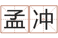 孟冲算命网事业测试-免费测试宝宝名字