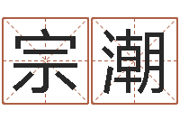 王宗潮属鸡人还阴债年运程-香港算命大师李居明