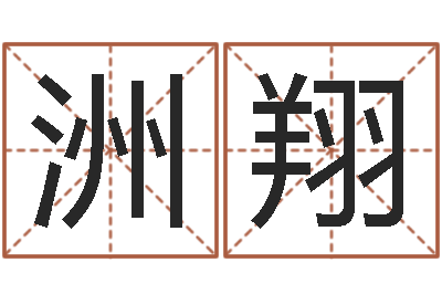 赵洲翔本命年的运势-李计忠视频