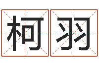 肖柯羽学习看八字-还阴债虎年运势