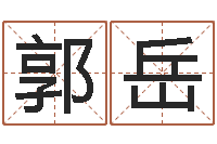 郭岳还阴债年属狗运程-易奇八字软件下载