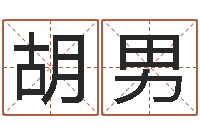 胡男女孩名字测试-免费公司起名字网站