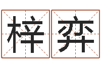 梁梓弈免费生辰八字取名-用心学易经