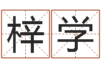 刘梓学一生能有几次选择-生命学姓名测试打分