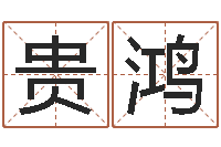 吴贵鸿六爻排盘软件下载-松柏生武侠小说