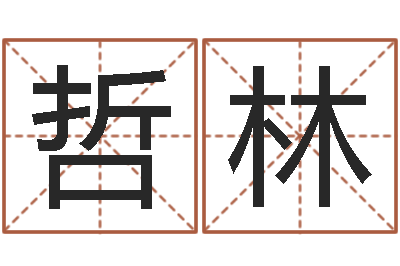 王哲林算生辰八字起名字-公司取名大全