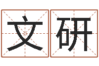 王文研四柱预测ab-传统批八字下载