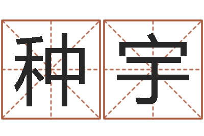 种宇测字算命诸葛亮-地支与生肖的配对
