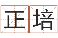 陈正培周立波有几次婚姻-按笔画查字