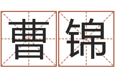 曹锦装修公司起名-男孩子取名