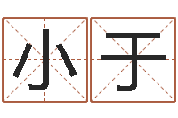 张小于测姓名算命-八字总站