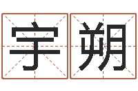 吴宇朔起名字测试-择日改名软件