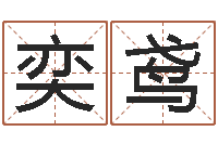 郭奕鸢风水家-霹雳火电影